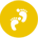 合作企業(yè)